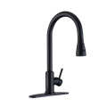 Matte Black Brushed Nickle Kitchen Faucet